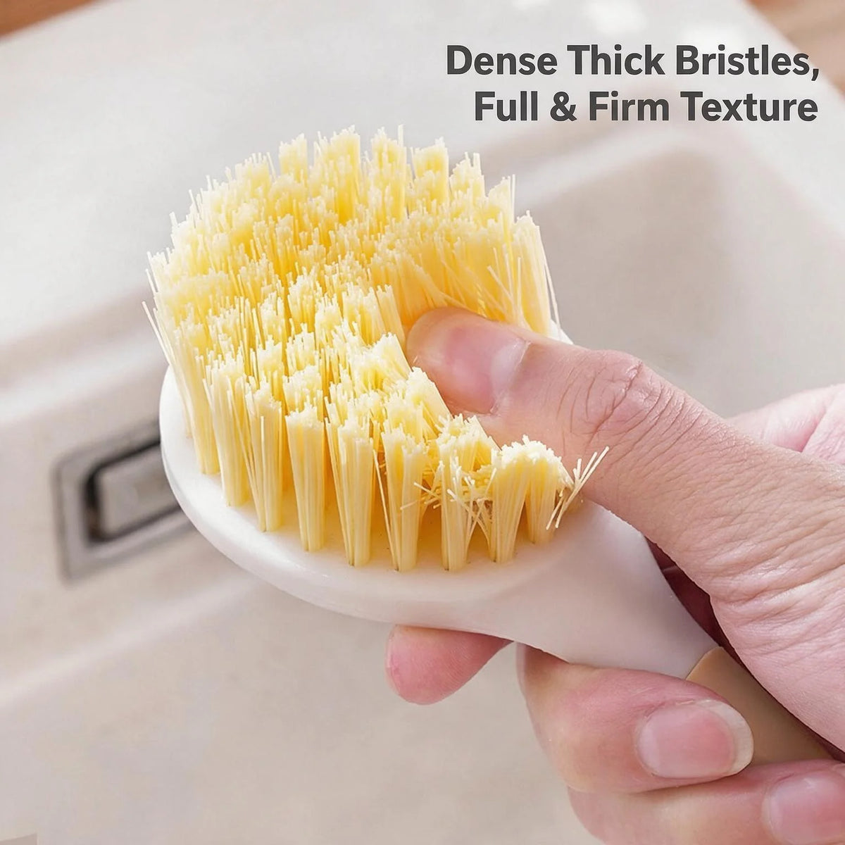 Two Piece Long Handle Kitchen Pot Brush And Scrubber Set